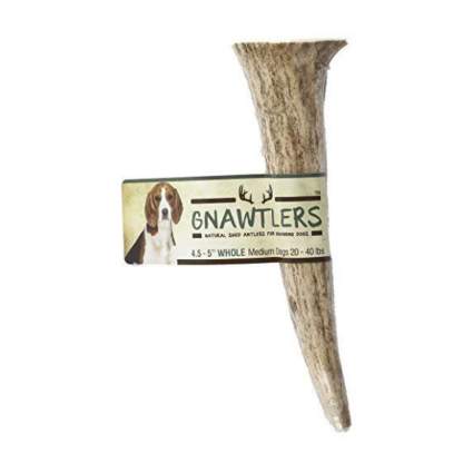 gnawtlers dog chew gifts for dog lovers