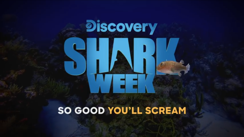 Shark Week 2019 watch online