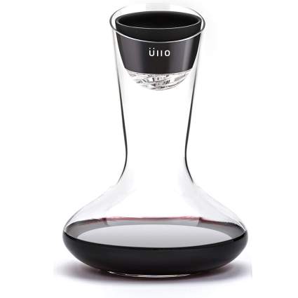 Wine decanter with filter