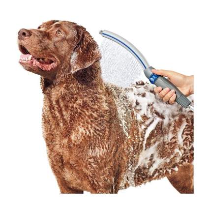 waterpik shower pet wand gifts for dog lovers