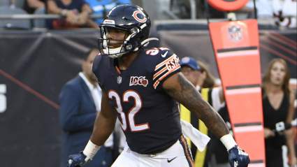 David Montgomery Fantasy Outlook: When to Draft Bears RB