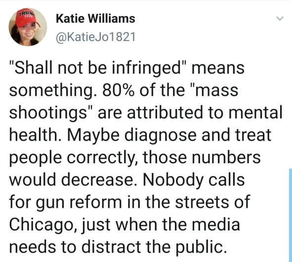 Katie Williams Gun Reform