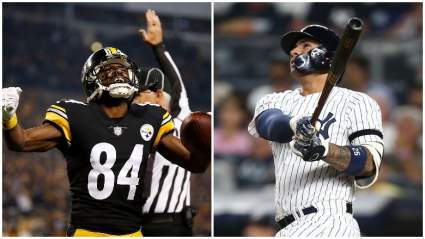 Your Must-See Sports Headlines for Today, August 13