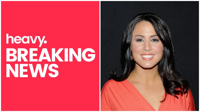 Andrea Tantaros Porn - Andrea Tantaros: Where Is Former Fox News Host Now? | Heavy.com