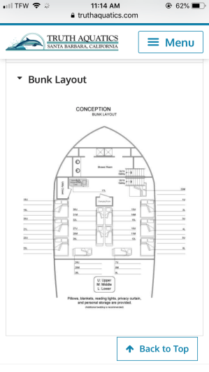 dive boat layout