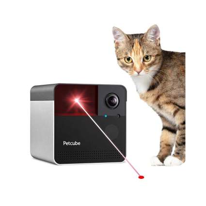 petcube play pet cam christmas gifts for cats