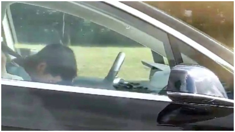 Tesla Driver Asleep at the wheel video