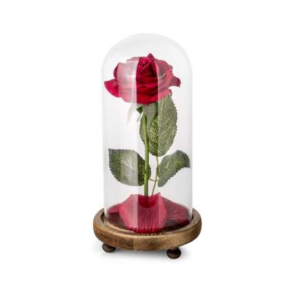 beauty and the beast rose
