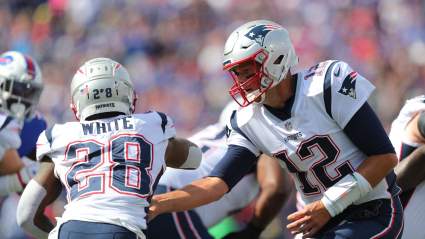 James White Fantasy: Can Patriots RB Finally Get Involved?