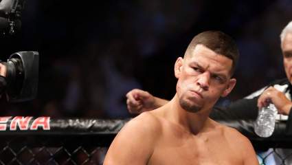UFC Star Challenges Nate Diaz: ‘I Want To Fight!’