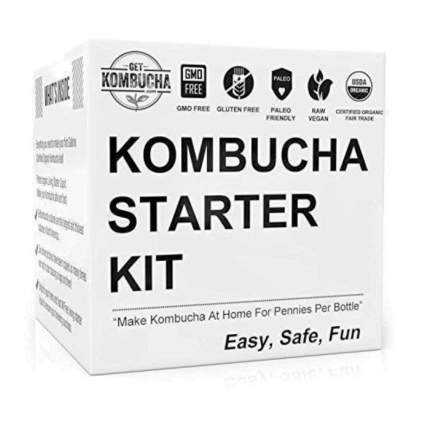 kombucha starter kit