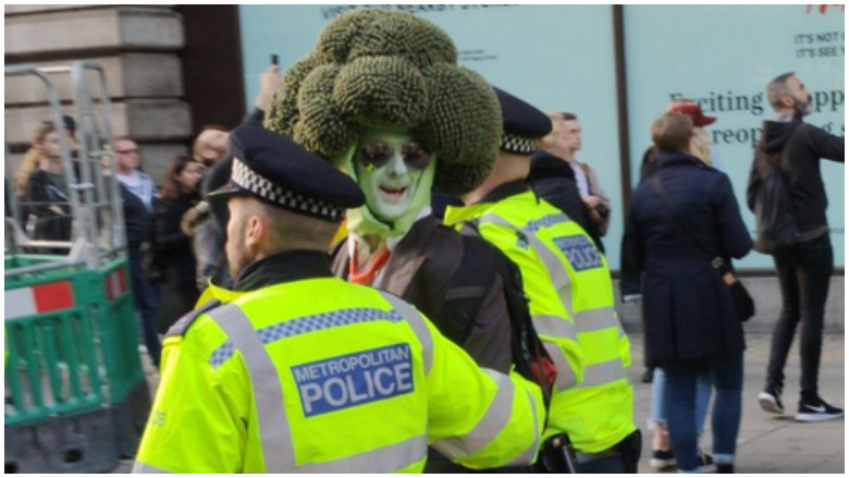 man dressed like broccoli