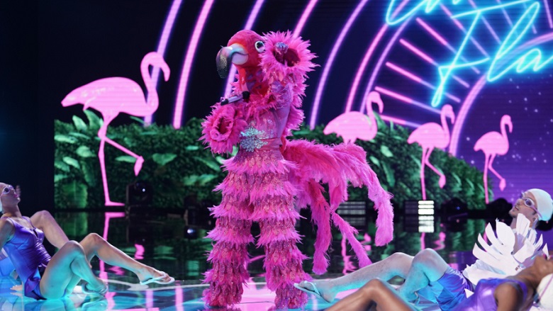 Flamingo On The Masked Singer 2019 Clues And Guesses Episode 3 4979