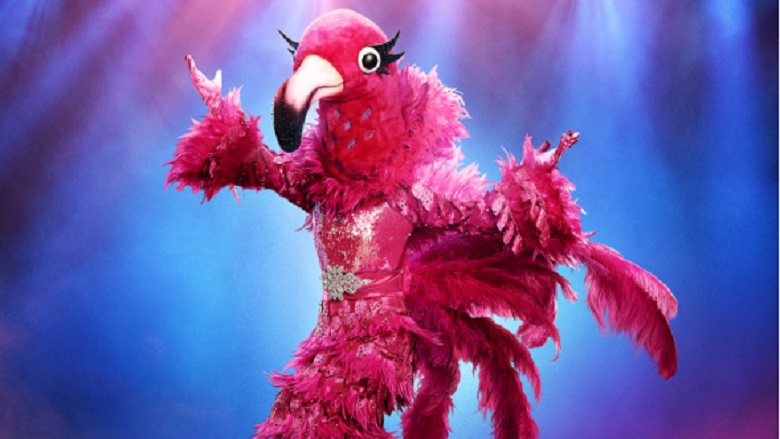 Flamingo The Masked Singer Clues and Guesses