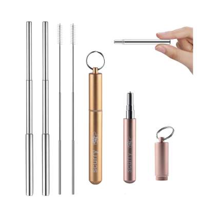 scurry Telescopic Stainless Steel Straw Set