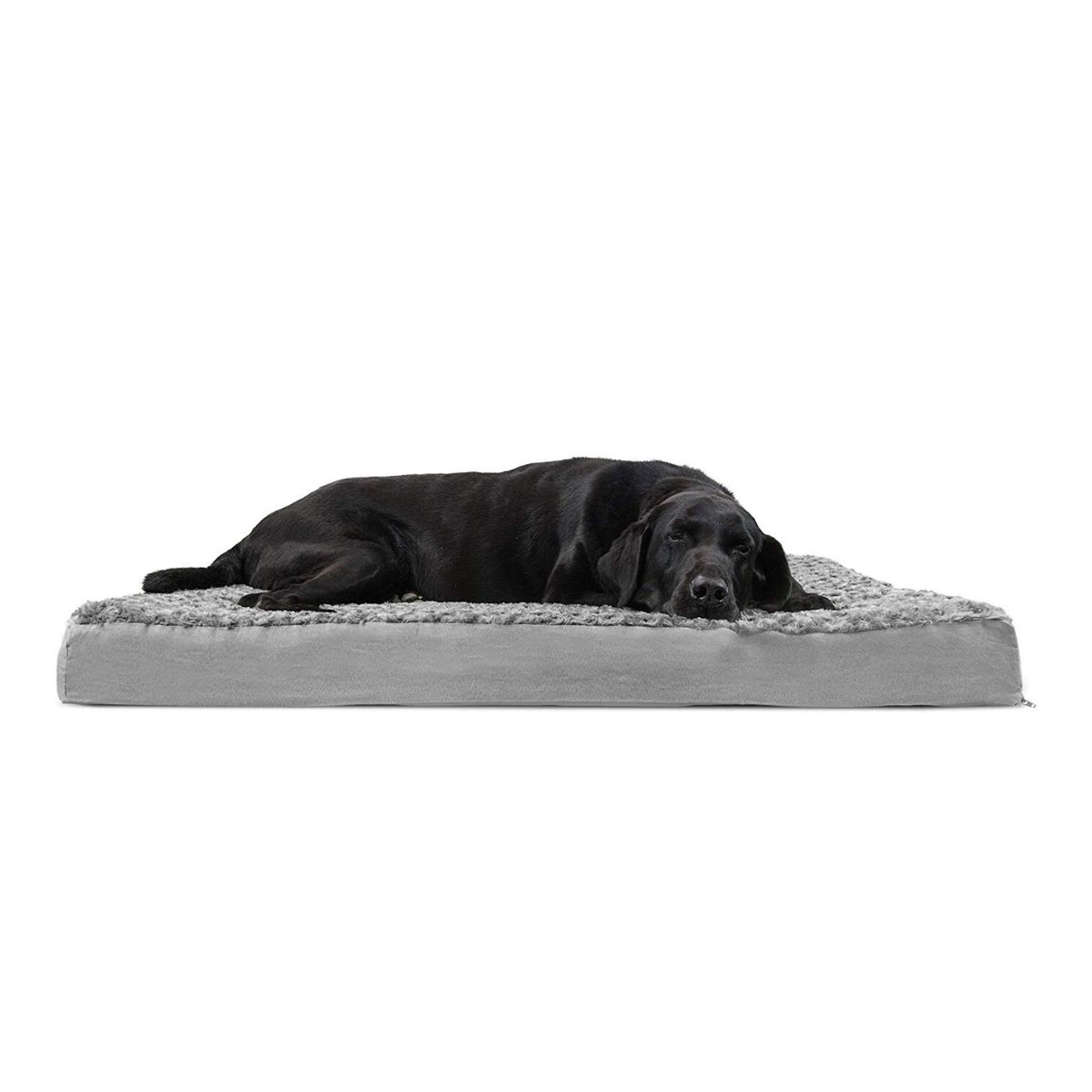 15 Best Cheap Dog Beds Compare Buy Save 2020   Furhaven Cheap Dog Beds 