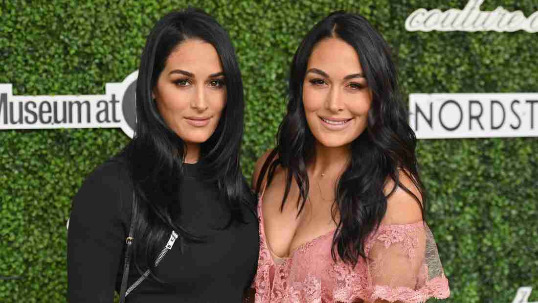 Are the Bella Twins Back on ‘Total Divas’? | Heavy.com