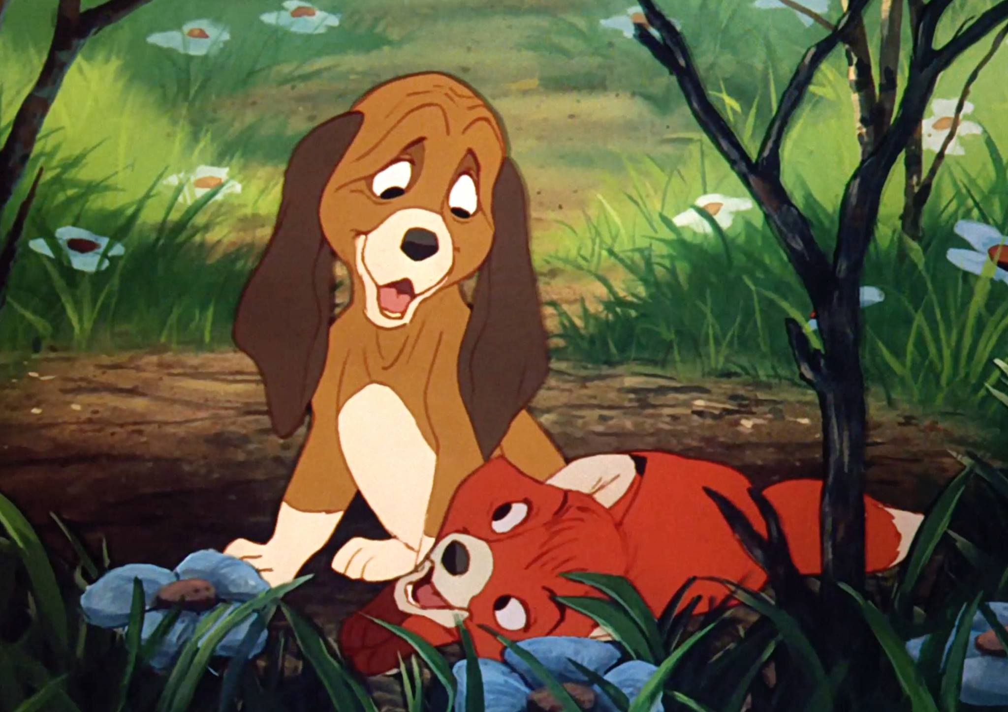 How to Stream 'The Fox and the Hound' (2021) Heavy.com from heavy...