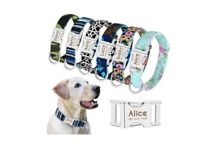 Beirui Personalized Dog Collar