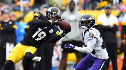 Steelers Playoff Picture: Standings & Scenarios for Week 17