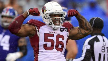 Chicago Bears Rumors: Could LB Terrell Suggs Come to Chicago?