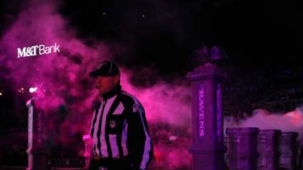 Ravens Reveal Cool Virtual Reality in-Game Experience [WATCH]