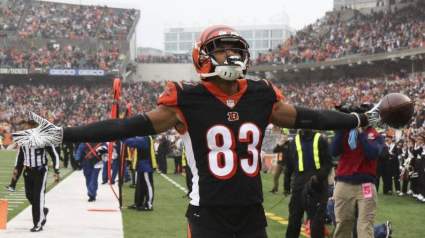 Bengals Receiver Makes Outlandish Claim About Patriots Star After Loss