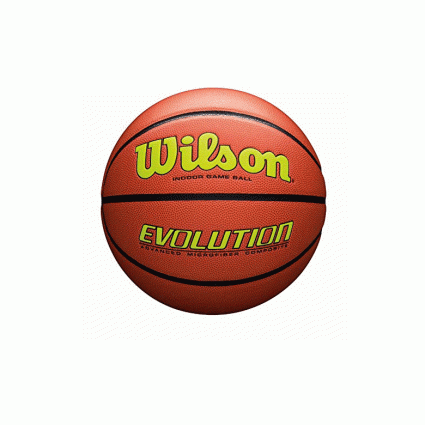 wilson evolution indoor basketball