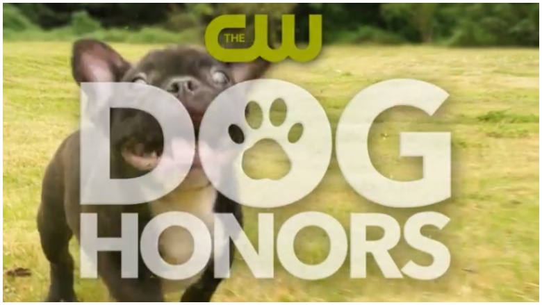 The CW Dog Honors