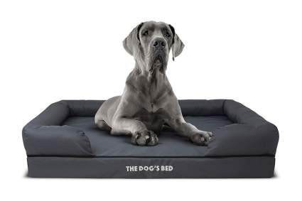 The Dog’s Bed Orthopedic Dog Bed