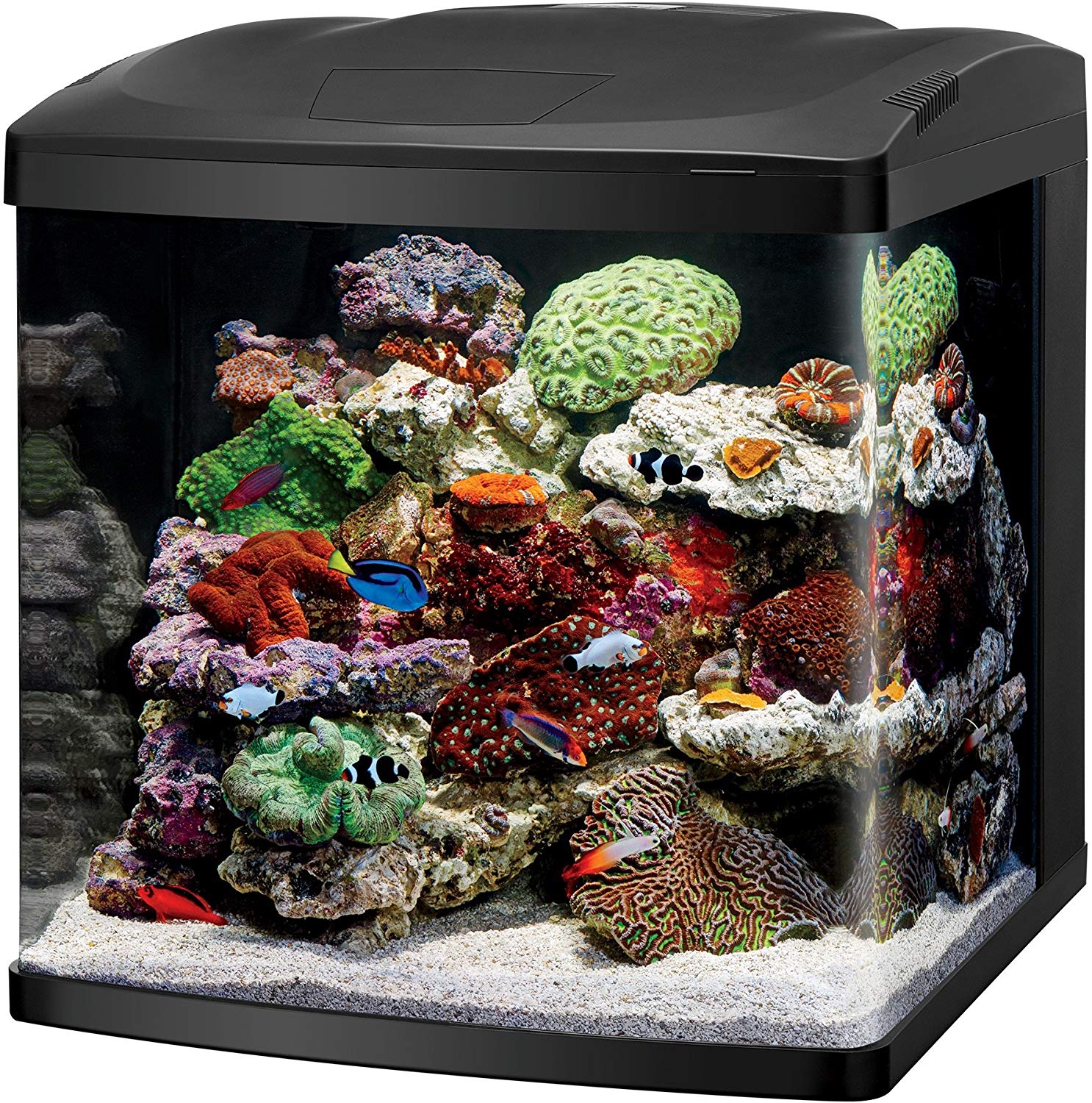 Coralife aquarium kit