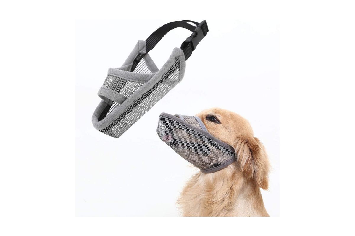 pink basket muzzle