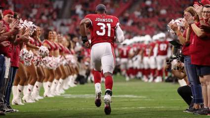 Cardinals Likely to Release Star RB David Johnson, Per Analyst