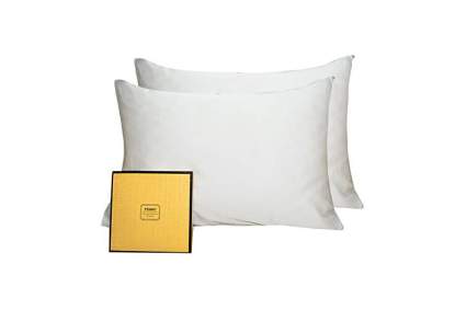 Two white bed pillows
