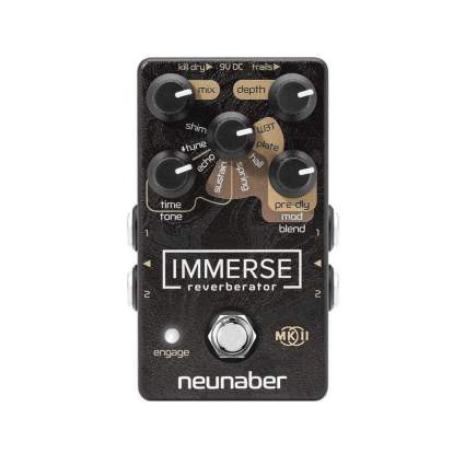 Neunaber Audio Immerse Reverberator Mk II