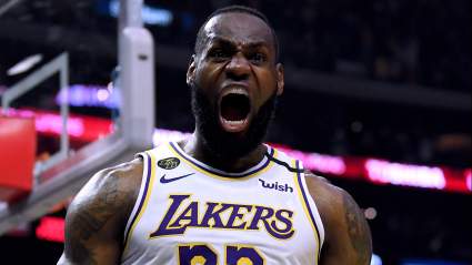 Lakers’ Chosen One Destroys Mavs’ Jason Terry On March 18, 2013