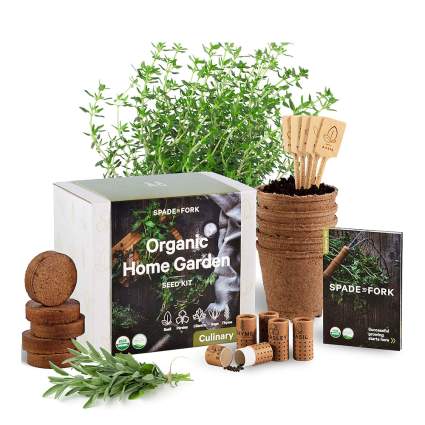 kitchen herb garden
