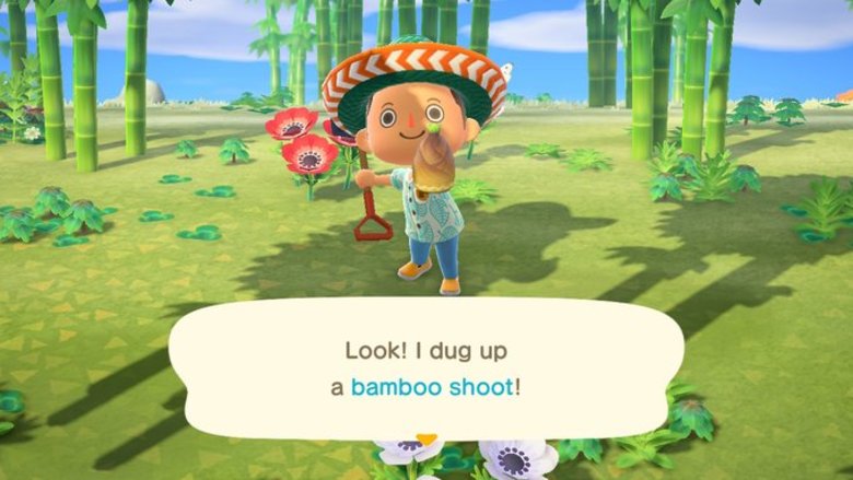 How to Get Bamboo