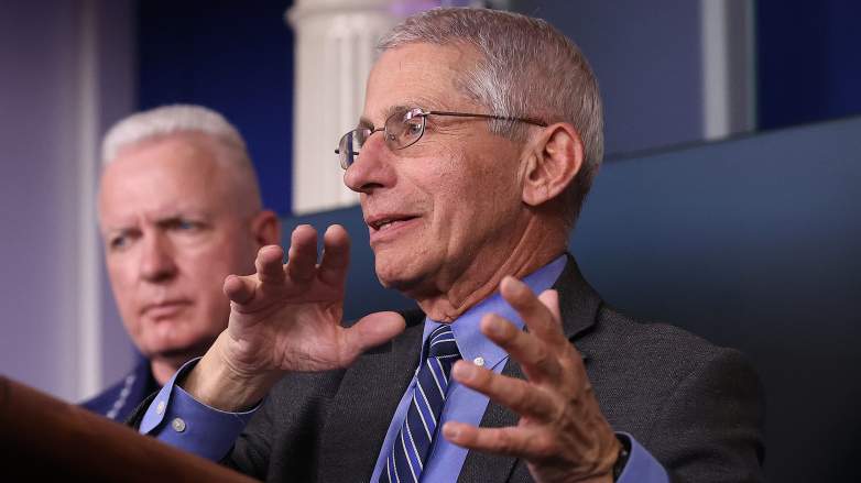 Dr. Fauci white house press briefing