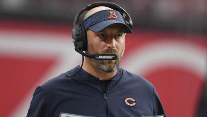 Bears Widely Believed to Be ‘Plotting a Move,’ Says Insider