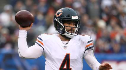 Chase Daniel Excited to Help Lions Make Next Step