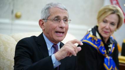 Dr. Fauci Sees Narrow Path for Return of NBA, Other Sports