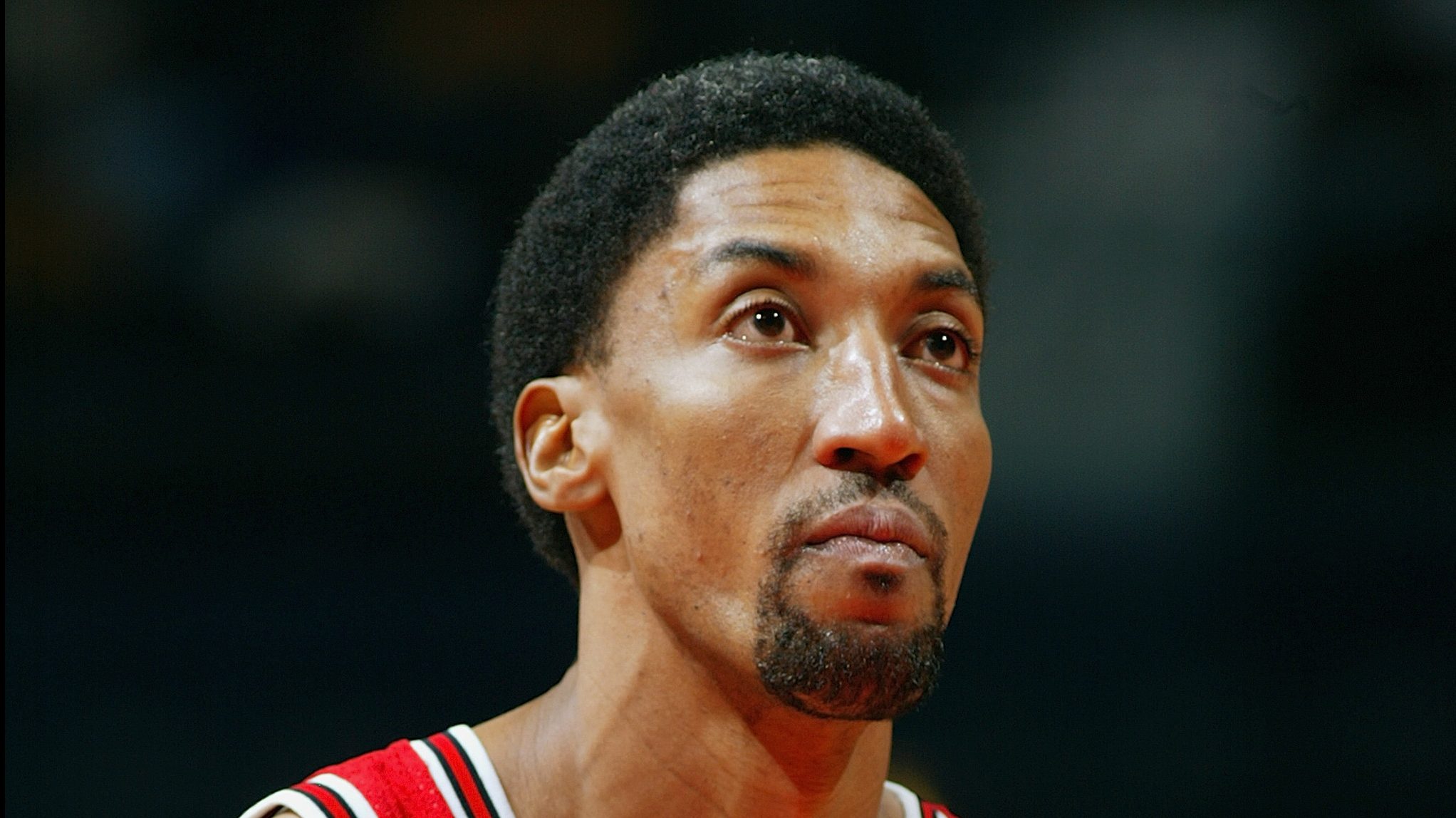 Scottie Pippen of the Houston Rockets during the game against the News  Photo - Getty Images