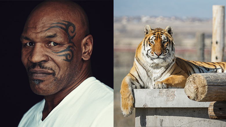 Mike Tyson’s Statement About ‘Tiger King’ Quickly Goes Viral | Heavy.com