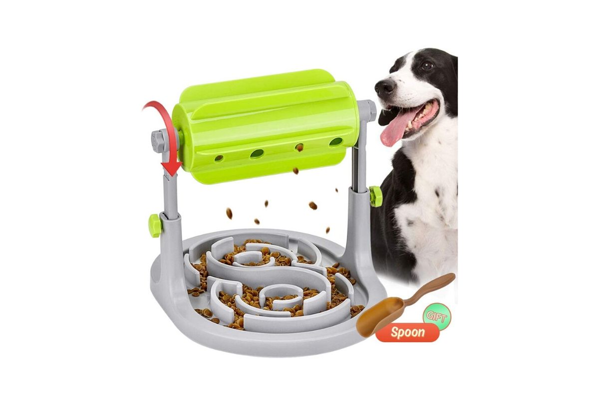 slow feeder puzzle dog bowl