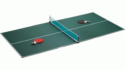 viper portable ping pong table top