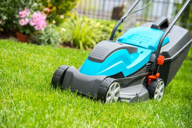 Best Cordless Electric Lawn Mowers