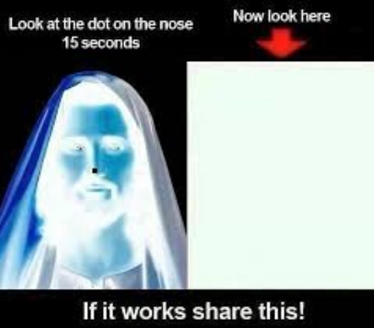 ‘Focus on the Three Colored Dots on the Nose’: Viral Photo Explained