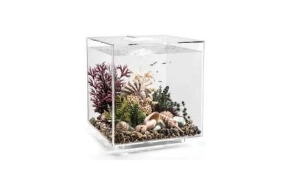 biOrb Cube 60 Aquarium