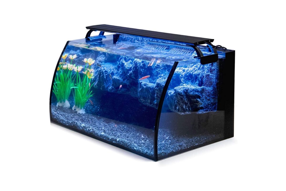 aquarium complete kit